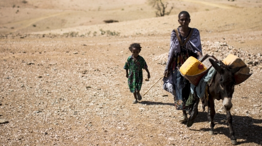 Drought is particularly hard on herding and farming families, who depend on land and livestock to survive.